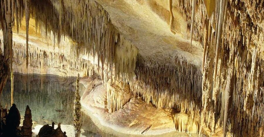 Mallorca: Ticket for Caves of Drach with Pickup Service - Key highlights in plain terms