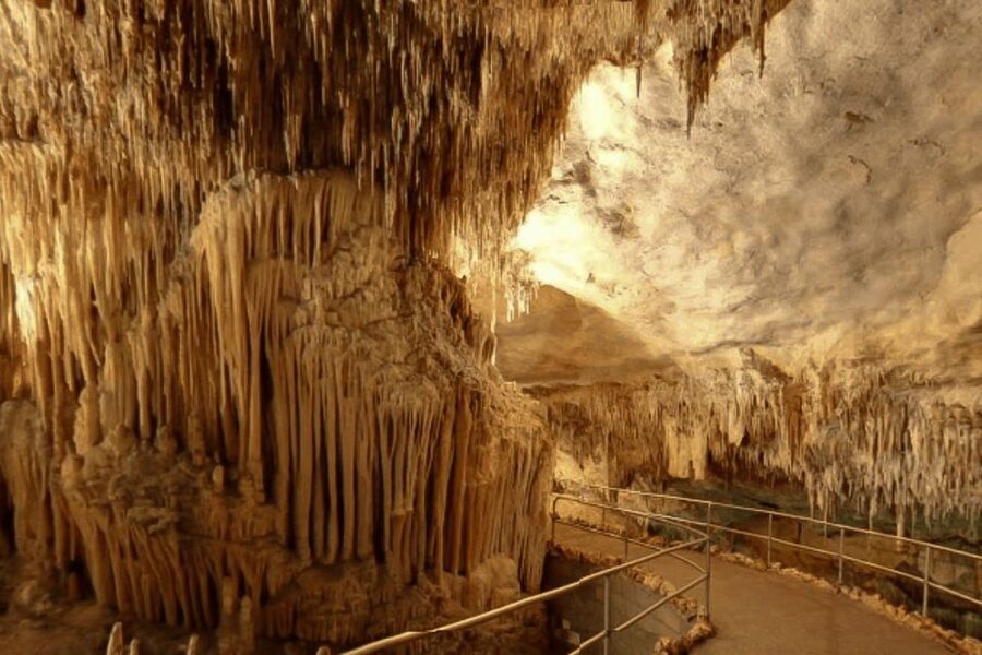Mallorca: Ticket for Caves of Drach with Pickup Service - Why the Drach Caves and Lake Martel set up a great day
