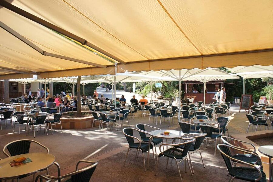 Mallorca: Ticket for Caves of Drach with Pickup Service - Lake Martel boat ride or bridge walk, plus the Porto Cristo break