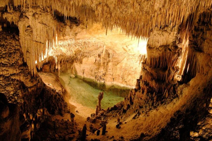 Mallorca: Ticket for Caves of Drach with Pickup Service - Price and value: what $64 buys you, and when it might not