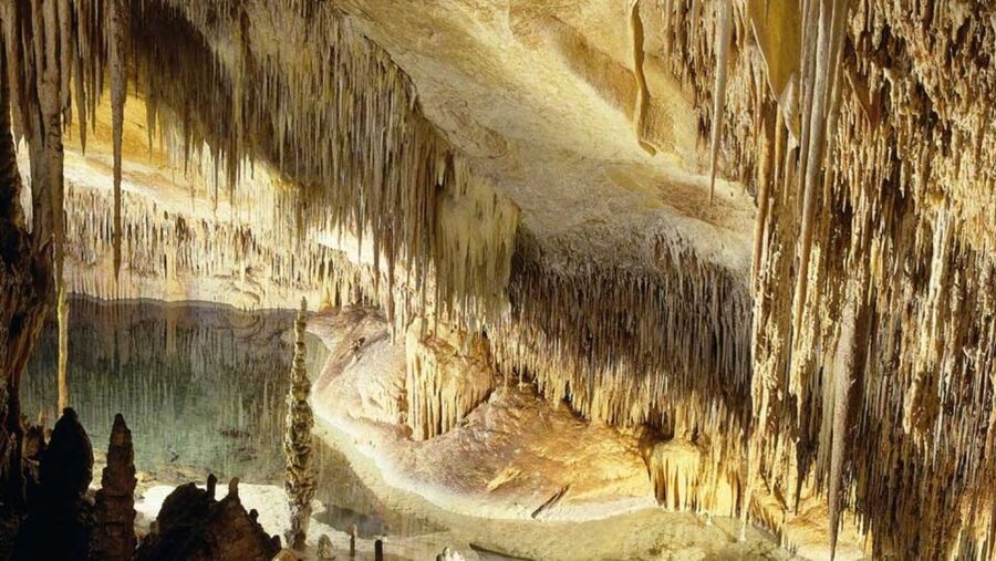 Mallorca: Ticket for Caves of Drach with Pickup Service - Mallorca pickup to Porto Cristo: logistics that can make or break it
