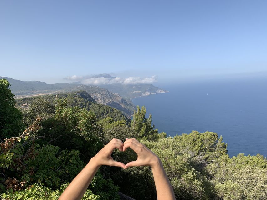Mallorca: Tramuntana Mountains Tour with Local Guide & Lunch - Why the Tramuntana Route Feels Different from a Basic Sightseeing Loop