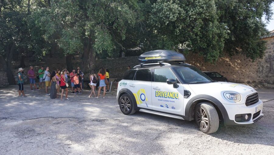 Mallorca: Tramuntana Mountains Tour with Local Guide & Lunch - Sóller Olive Oil Mill: The Tastings That Turn Food Into a Story