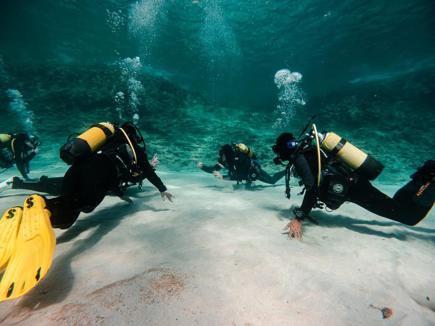 Mallorca: Try Scuba Diving by Boat - Starting at Skualo Porto Cristo, then heading for the coves