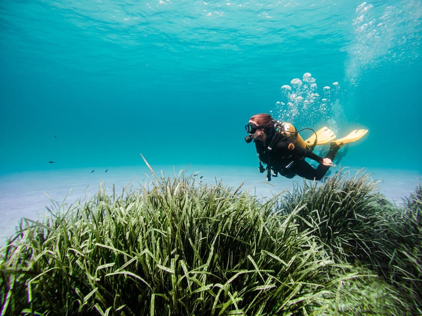 Mallorca: Try Scuba Diving by Boat - Who should book this scuba by boat experience