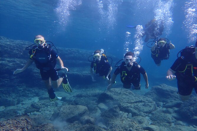 Mallorca: Try Scuba Diving in a Beautiful Nature Reserve - Transport from Palma and what to bring