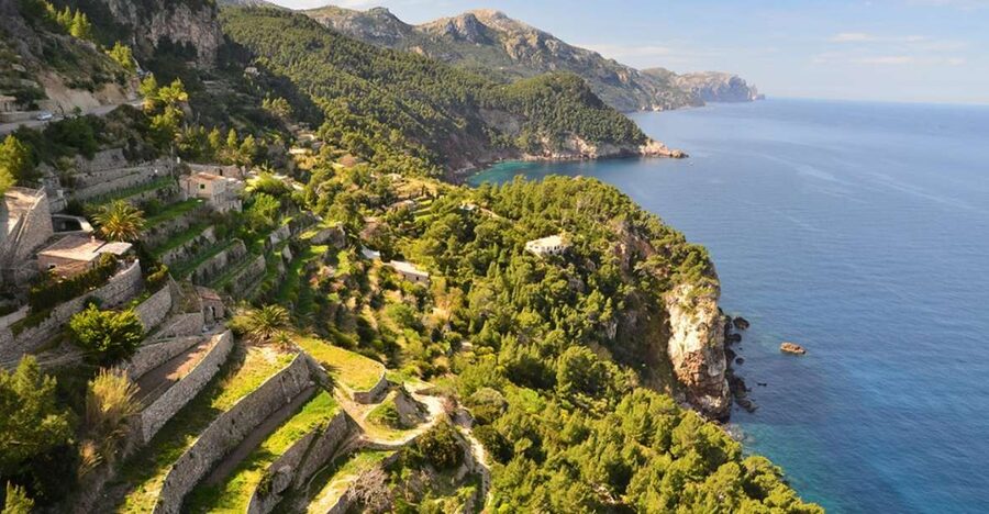 Mallorca: Valldemossa & Soller Tour - Why This Palma to Valldemossa and Sóller Route Feels Efficient