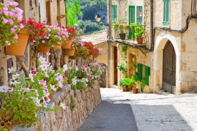 Valldemossa & Soller Tour