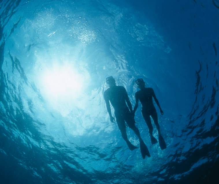 Mallorca: Visit Palma Speedboat adrenaline & snorkelling - Should you book the Mallorca Palma Speedboat adrenaline & snorkelling?