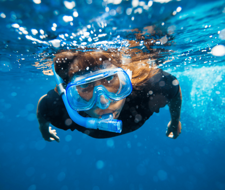 Mallorca: Visit Palma Speedboat adrenaline & snorkelling - The real thrill: speed maneuvers plus a snorkelling swim stop