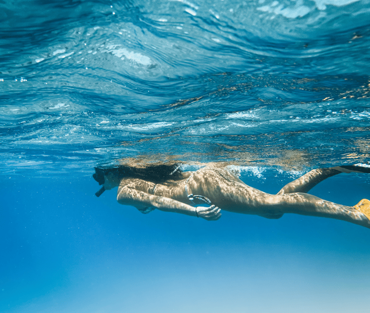 Mallorca: Visit Palma Speedboat adrenaline & snorkelling - Price value: is $51 a good deal for Mallorca?