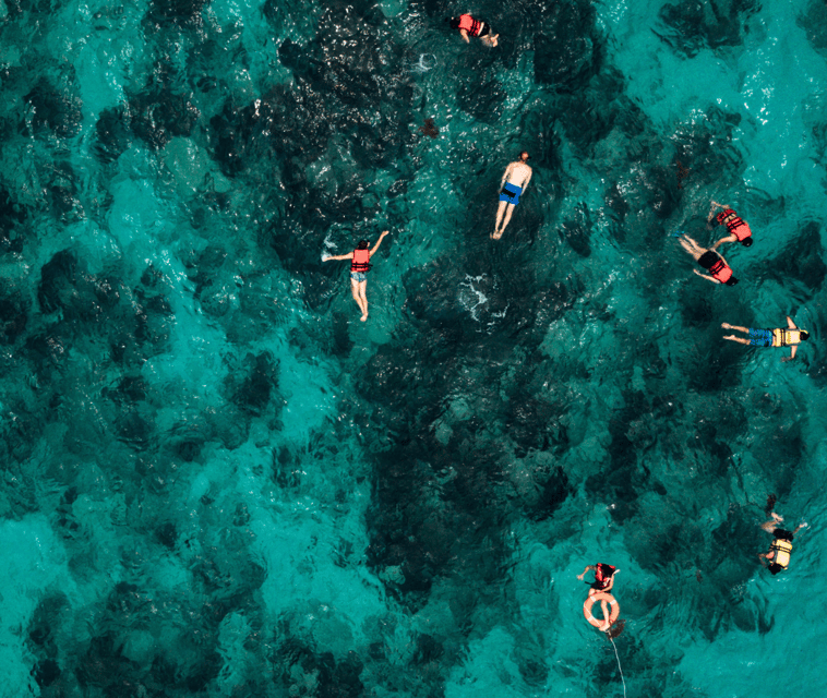 Mallorca: Visit Palma Speedboat adrenaline & snorkelling - A smooth day plan for a short, action-packed outing