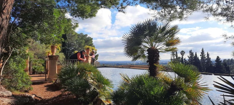 Mallorca: West Coast & Orange Valley Minbustour GERMAN GUIDE - Small-group pace, minivan comfort, and what the day is really like
