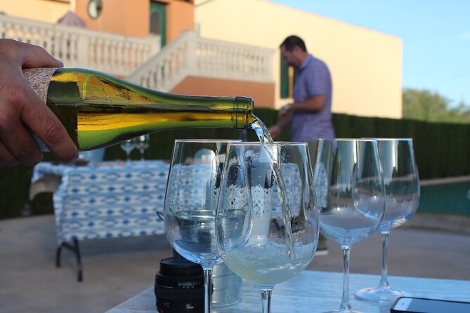 Mallorca Wine and Cheese Tasting - If You Prefer White Wine Only, Tell Them Up Front