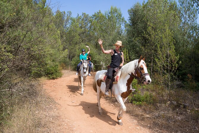 Mallorca Wine and Cheese Tasting - Why This Price Feels Fair for Mallorca