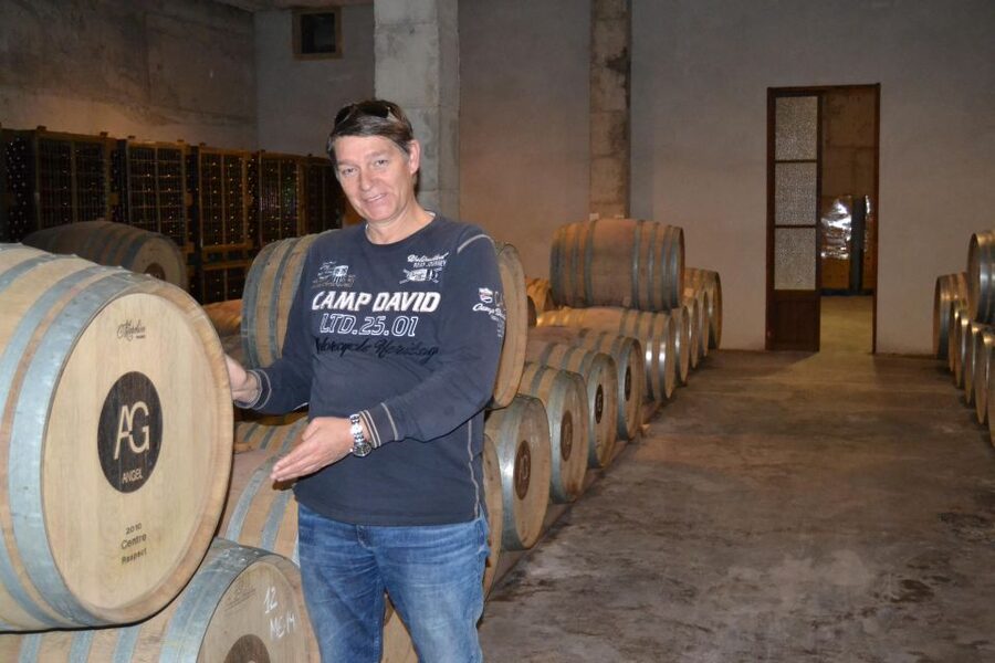 Mallorca: Wine Cellar Tour XL - 3 Wine Tastings incl. GERMAN - Price and value: what $191 buys you in real terms