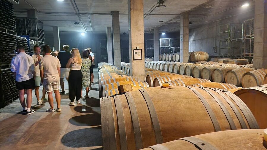 Mallorca: Wine Cellar Tour XL - 3 Wine Tastings incl. GERMAN - What you taste, and how tapas keep it real