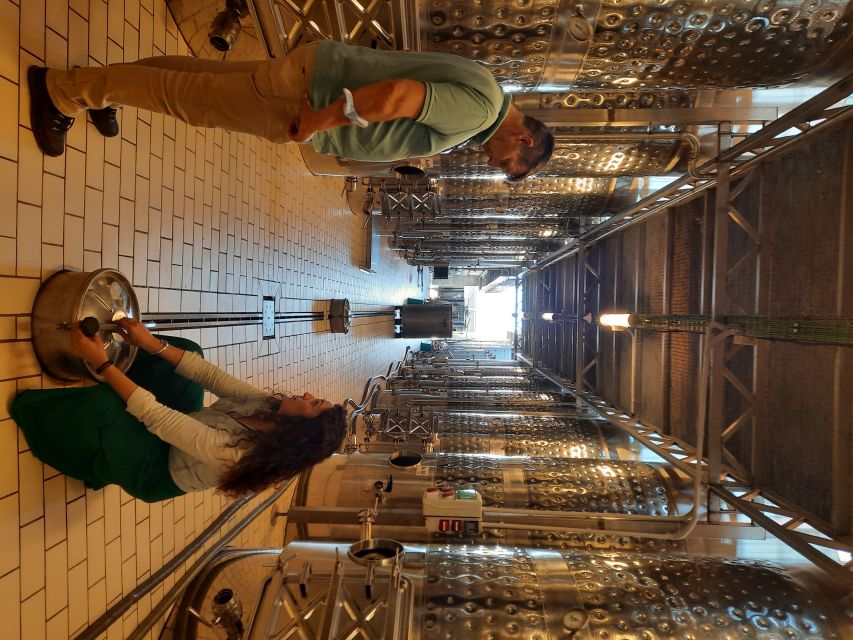 Mallorca: Wine Cellar Tour XL - 3 Wine Tastings incl. GERMAN - Stop-by-stop feel: three regions, three different styles