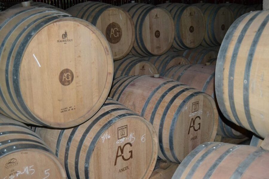 Mallorca: Wine Cellar Tour XL - 3 Wine Tastings incl. GERMAN - The guide factor: German explanations that actually help you taste