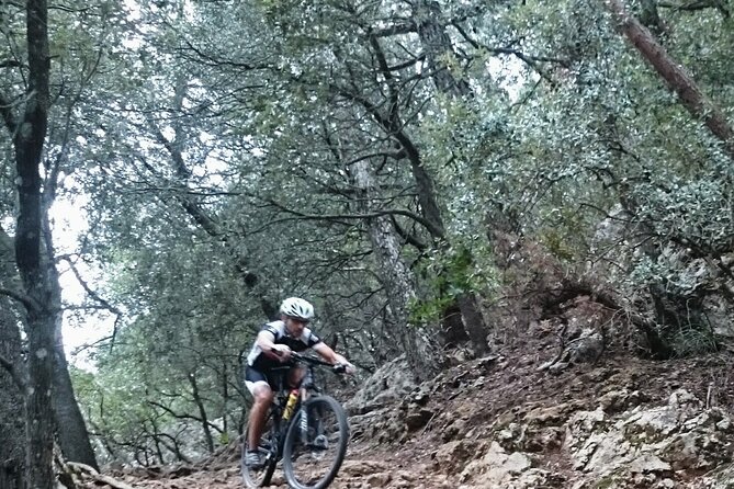 MTB guided tour in Bellver forest and Na Burguesa m.(E-MTB avai.) - Key highlights worth knowing before you book