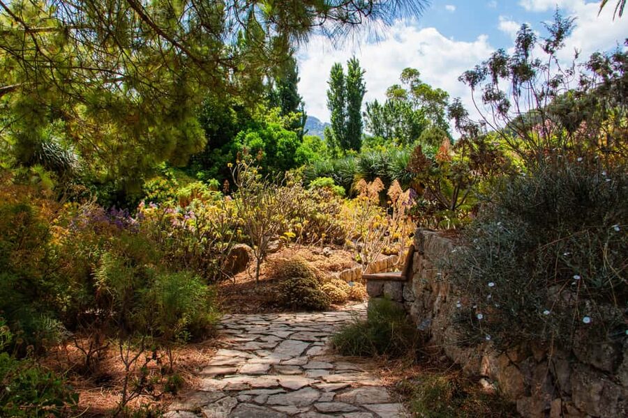 MUCBO | Jardí Botànic de Sóller - Balearic Museum of Natural Sciences - MUCBO in Sóller, where botany and natural history share the same grounds
