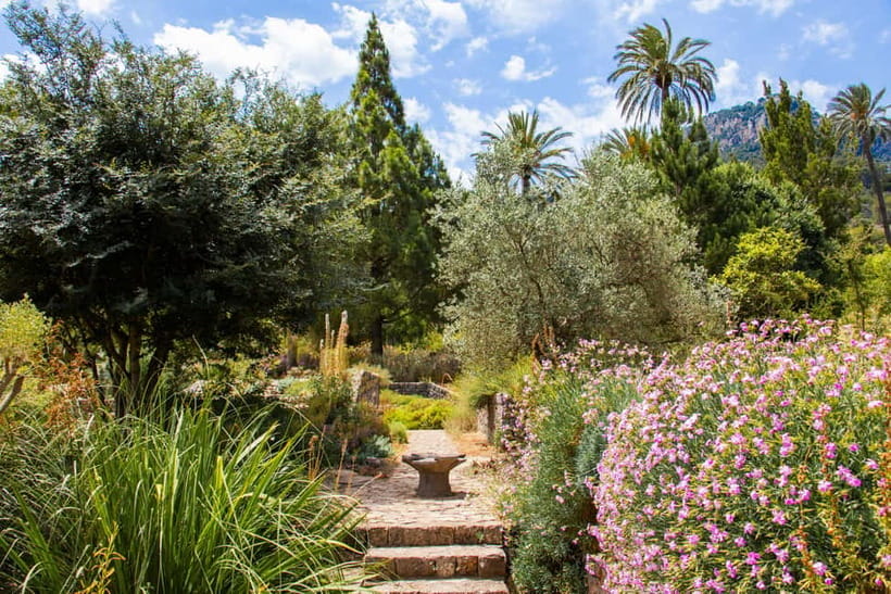 MUCBO | Jardí Botànic de Sóller - Balearic Museum of Natural Sciences - Garden walk: living plants, herbarium, and the germplasm bank concept