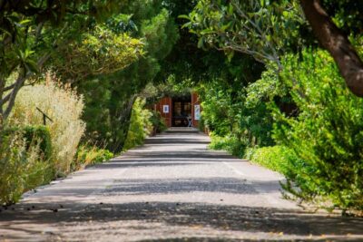 MUCBO | Jardí Botànic de Sóller – Balearic Museum of Natural Sciences