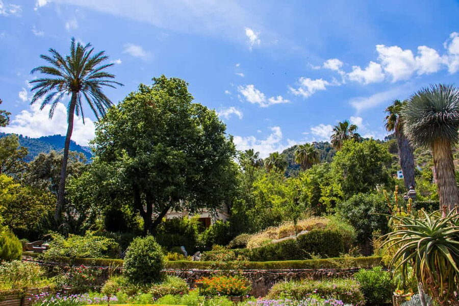 MUCBO | Jardí Botànic de Sóller - Balearic Museum of Natural Sciences - Who should book MUCBO, and who might skip it