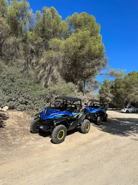 Paguera: 2 Hour Buggy Tour - The Automatic CF Moto Zforce, Easy to Drive but Not a Cushy Ride