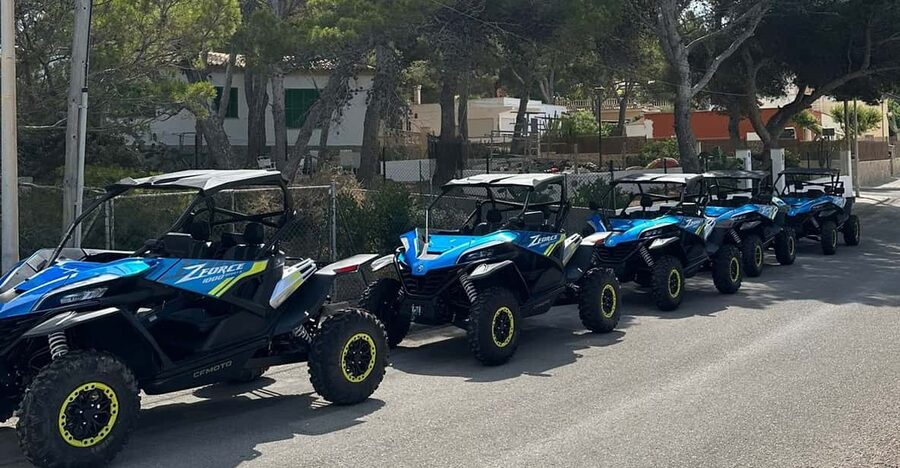 Paguera: 2 Hour Buggy Tour - Price and Value: Is $69 Worth It?