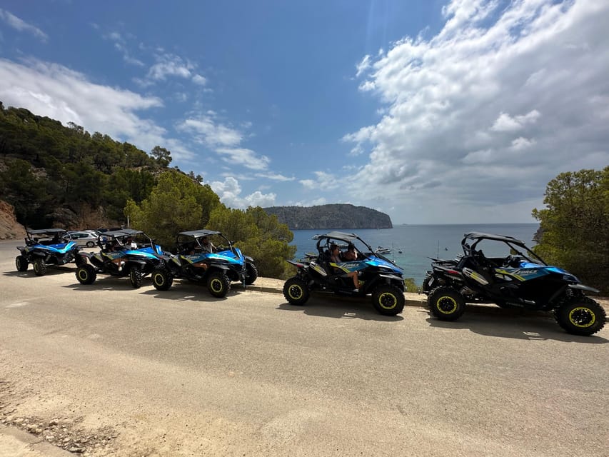 Paguera: 2 Hour Buggy Tour - Practical Tips Before You Go, So It Feels Fun Not Frustrating