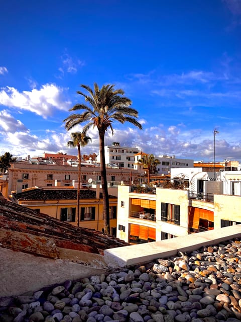 Palma authentically. Small group City tour with tapas - Palma Exclusive tapas tour, what it feels like on the street
