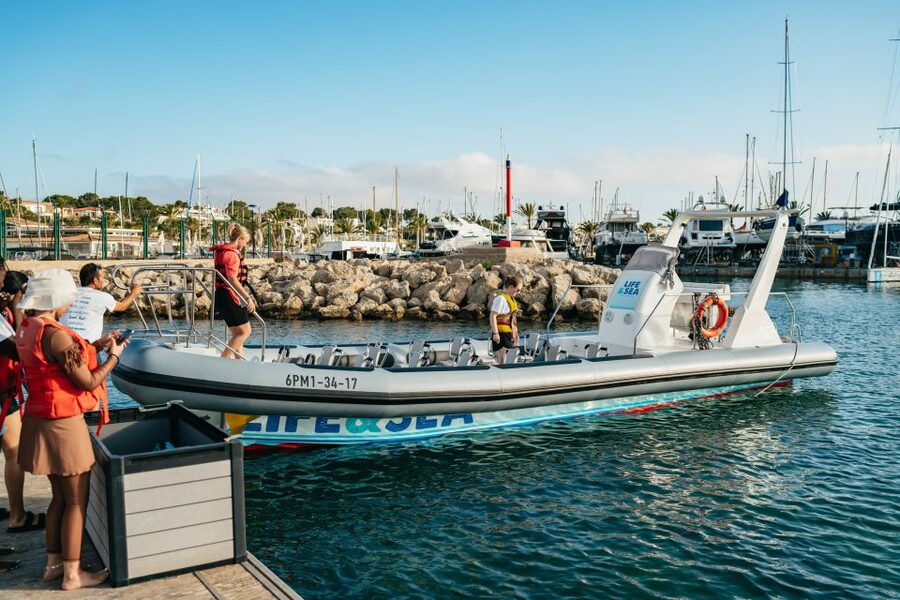 Palma Bay: 1-Hour Speedboat Adventure - Price and Value: Is $47 Worth It for One Hour of Speed?