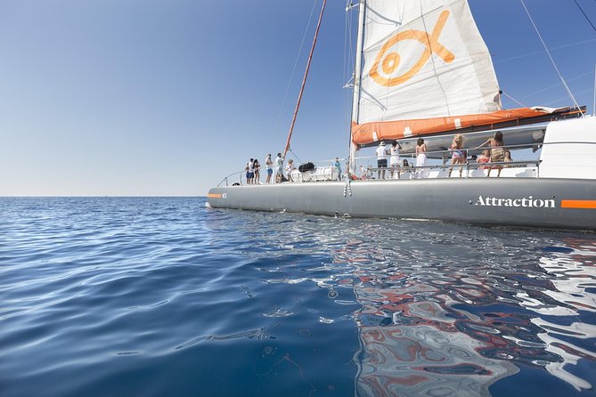Palma Bay Catamaran Half-Day Cruise - The sailing route around Palma: Auditorium area, cathedral views, and Cala Vella