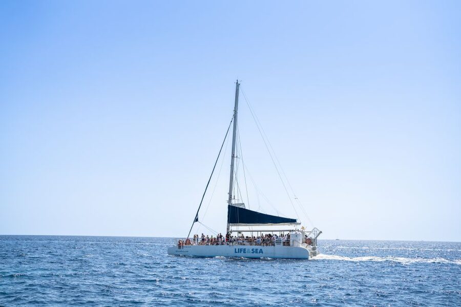 Palma: Catamaran Cruise with Swimming and Snorkelling - The Anchored Stop: Your 90 Minutes for Swimming or Sunbathing