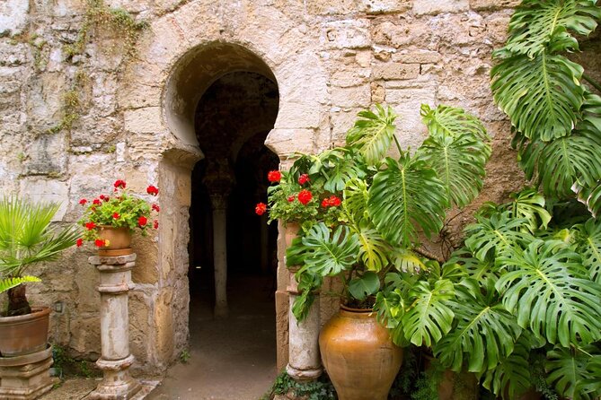 Palma Cathedral & Surroundings PRIVATE TOUR with Ticket Included - Key Highlights You Actually Feel During This Tour