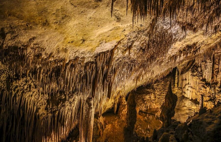 Palma: Caves of Drach Entrance, Music Concert, and Boat Trip - The Caves walk: 320 steps, 2 hours of real sights, and the concert build-up