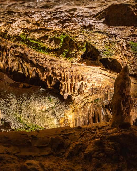 Palma: Caves of Genova Ticket & Digital Informational Video - Key points before you go