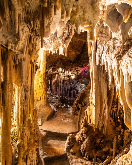 Palma: Caves of Genova Ticket & Digital Informational Video - Price and value, what $14 buys you in real terms