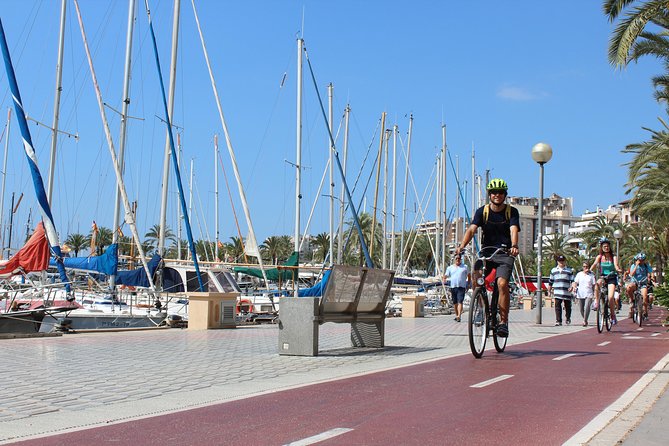 Palma de Mallorca 3-Hour Highlights and Tapas Tasting Bike Tour - Sa Llotja waterfront Gothic, maritime Palma in stone