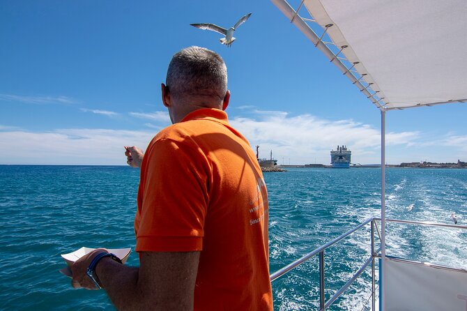 Palma de Mallorca Bay Boat Trip - Weather, timing, and how to avoid the common disappointment