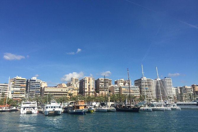Palma de Mallorca Bay Boat Trip - Who should book this Palma Bay boat trip, and who might skip it
