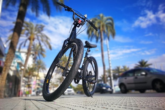 Palma de Mallorca Bike Tour with tapas - The streets that feel like Palma: city hall, an olive tree, and Passeig des Born