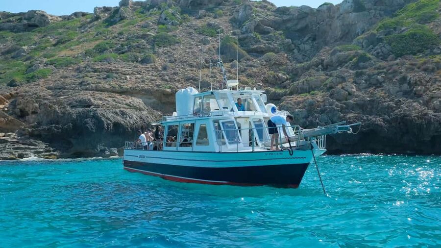 Palma de Mallorca: Cala Vella Snorkeling Adventure - Price and value: what $47 buys you in Palma