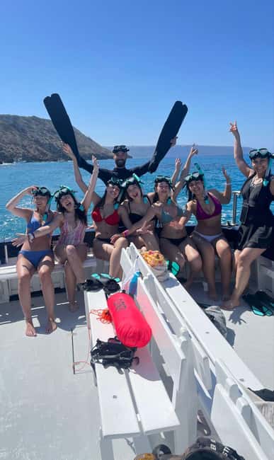 Palma de Mallorca: Cala Vella Snorkeling Adventure - The 2-hour flow: sailing Bahía de Palma, then snorkeling Cala Vella