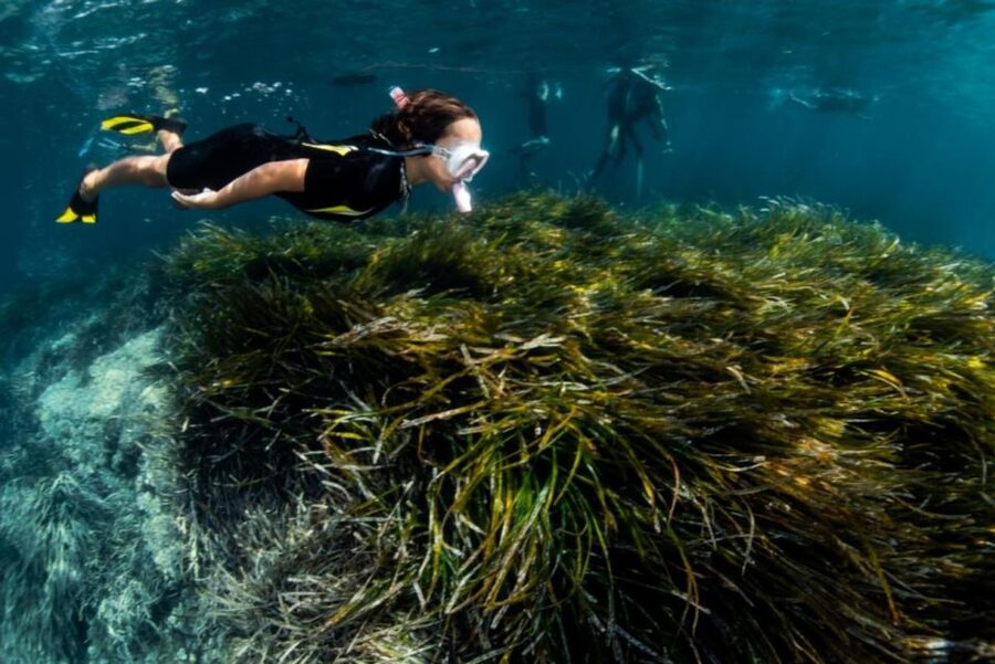 Palma de Mallorca: Cala Vella Snorkeling Adventure - Who this tour is best for (and who should skip it)
