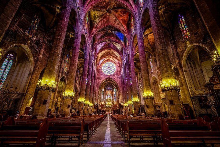 Palma de Mallorca: City Walking Tour with The Cathedral - Small group energy, and what to expect from the guide