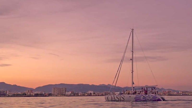 Palma de Mallorca: Deluxe Catamaran Sailing Tour with Meal - Who this catamaran tour is perfect for, and who should skip it