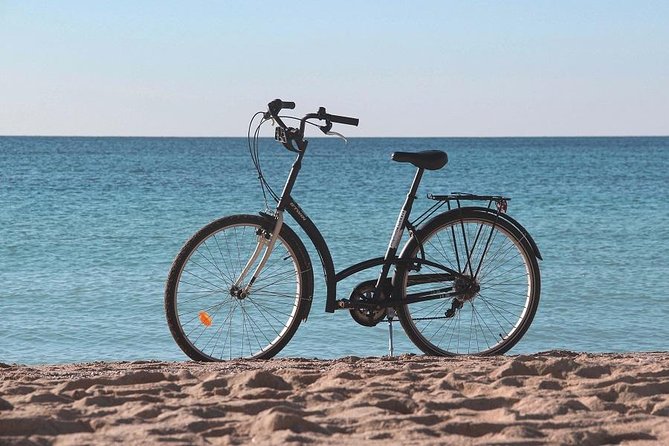Palma de Mallorca Easy Bike Tour (Small Groups) - Palau de l’Almudaina: Moorish roots, royal layers, and a big view