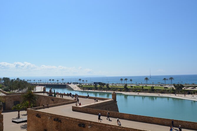 Palma de Mallorca Easy Bike Tour (Small Groups) - Your 10:30 start, and how the 3-hour flow works
